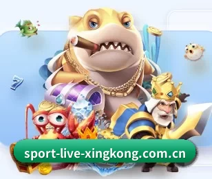 sport-live-xingkong.com.cn的故事 - 体育资讯内容服务